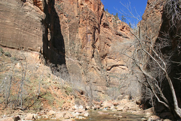 Zion National Park