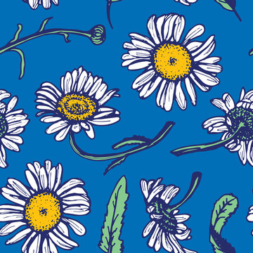 Beautiful vintage background with white daisies seamless patern on blue background. Vector