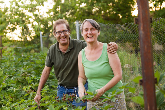 A couple of senior adults caring raspberries