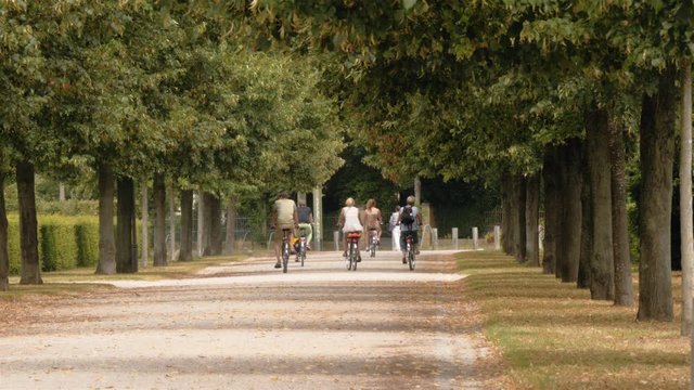 A group of tourists are riding away on bicycles through the alley at Potsdam city, countryside of Berlin. Real time locked down establishing shot.
