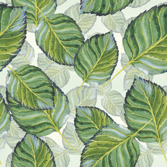 Wildflower leaf pattern in a watercolor style isolated. Aquarelle wild flower for background, texture, wrapper pattern, frame or border.