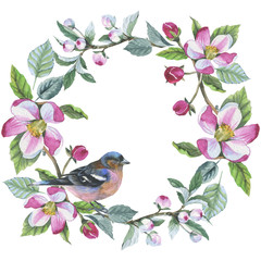 Wildflower apple flower wreath in a watercolor style isolated. Aquarelle wild flower for background, texture, wrapper pattern, frame or border.