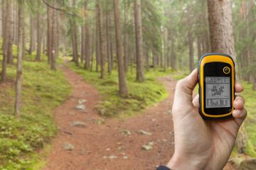 finding the right position in the forest via gps ( blurred background)