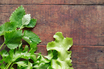 Parsley On Wood