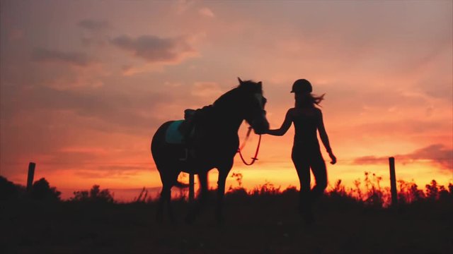 Woman Walks With His Horse at Sunset