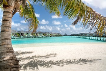 Überwasser-Bungalows mit Palme im Vordergrund, Sun Island, Nalaguraidhoo, Alif Dhaal Atoll, Malediven 