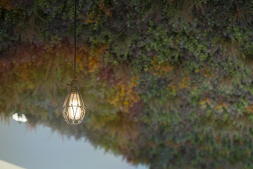 Lighting candles or false The suspended ceiling made of flowers.