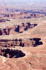 Grand viewpoint overlook close-up, Canyonlands, Utah