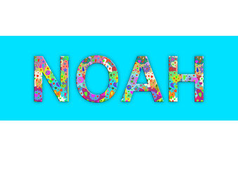 Vorname Noah, Grafik 
