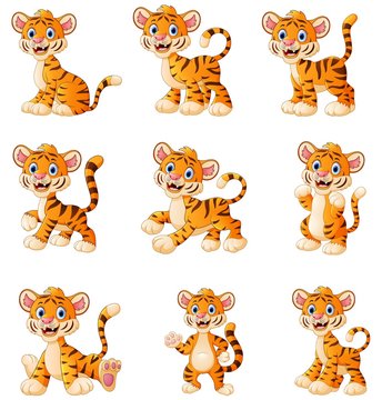 Tiger cartoon set collection