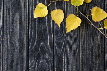 Wooden background and autumn leaves