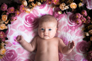 baby girl on a light pink background with roses flowers, close u