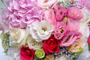 bunch of beautiful color of flowers