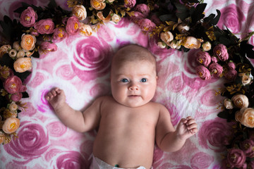 baby girl on a light pink background with roses flowers, close u