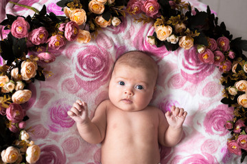 baby girl on a light pink background with roses flowers, close u