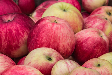 background of many beautiful, juicy red and green apples