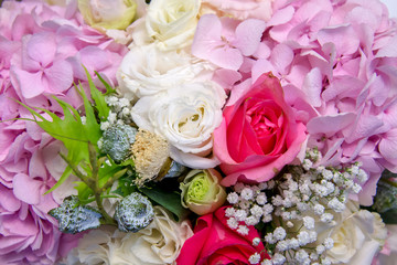 bunch of beautiful color of flowers