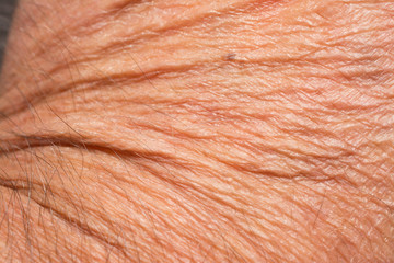 Texture of the skin with wrinkles on the body of mature male