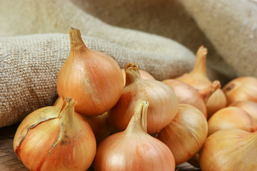 onions on a kitchen cutting board