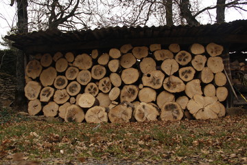 Tas de bois