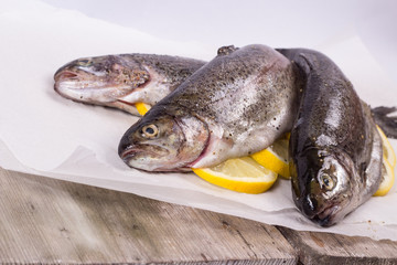 Three raw trouts on paper with thyme and lemon on a rustic wooden table