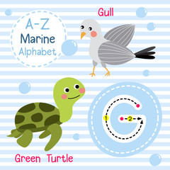 G letter tracing. Green Turtle. Gull.  Cute children sea marine alphabet flash card. Funny cartoon animal. Kids abc education. Learning English vocabulary. Vector illustration.