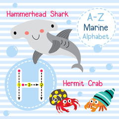 H letter tracing. Hermit Crab. Hammerhead Shark. Cute children sea marine alphabet flash card. Funny cartoon animal. Kids abc education. Learning English vocabulary. Vector illustration.
