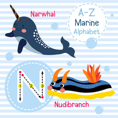 N letter tracing. Narwhal. Nudibranch. Cute children sea marine alphabet flash card. Funny cartoon animal. Kids abc education. Learning English vocabulary. Vector illustration. © natchapohn