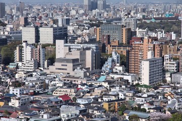 Tokyo aerial view, Japan