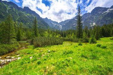 Beautiful scenery of the trail in Tatra mountains, Poland © Patryk Kosmider