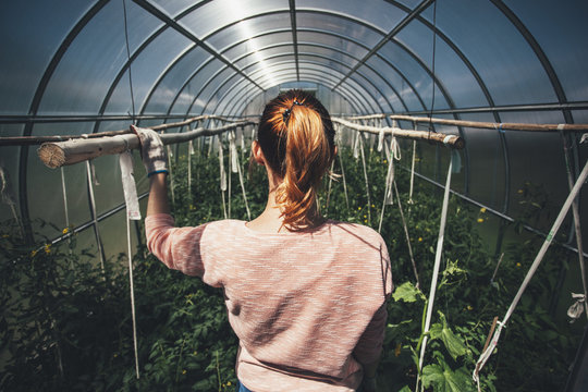 Rear view of woman standing amidst plants in greenhouse