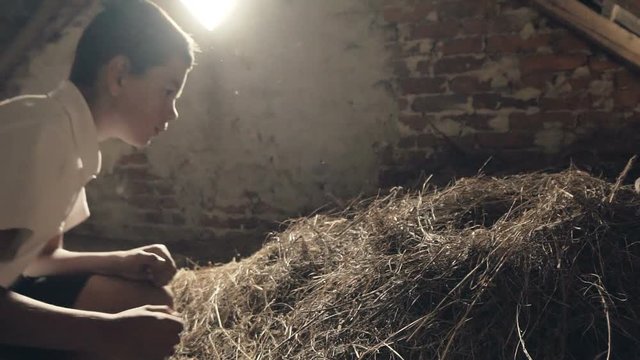 Young rural boy taking eggs from nests in the attic