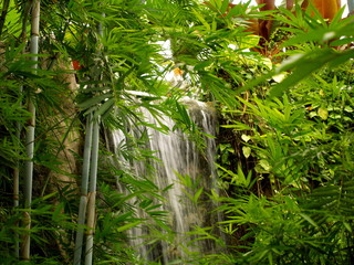 Fototapety  wodospad