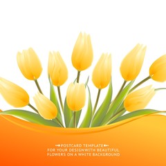 Yellow tulip spring flowers bouquet for your design. Vector illustration.