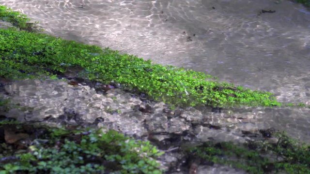 Kristall klarer Bach fliesst idyllisches durch eine gr&uuml;ne Ufer Landschaft mit sandigen Flussbett