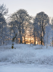Winter Wonderland. Sunset in a snowy Sweden. 