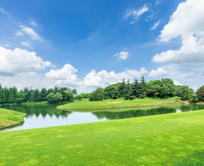 Fototapeta premium green grass and woods on a golf field