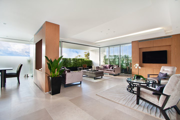 Modern living room, spacious great room