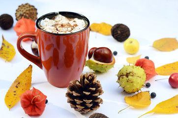 Hot drink, Cocoa or cup of coffee among bright autumn leaves, cones, chestnuts on a white background.