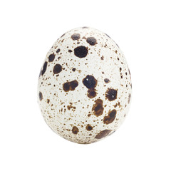 Quail eggs on a white background