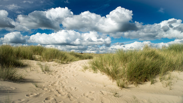 Dunes at Shell Bay and Studland