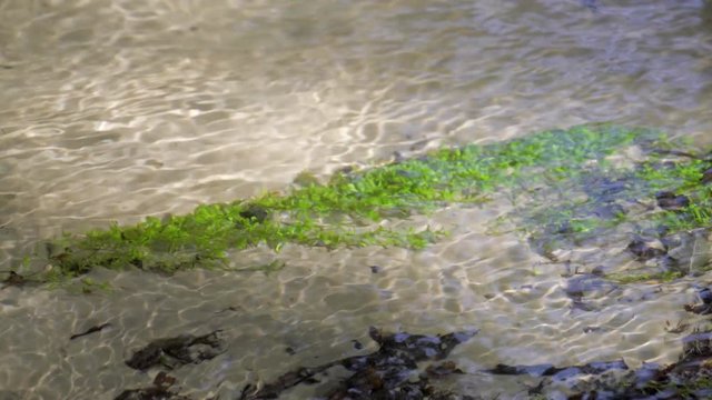 Kristall klarer Bach fliesst idyllisches durch eine gr&uuml;ne Ufer Landschaft mit sandigen Flussbett