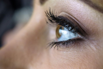 Obraz premium macro image of long curly eyelashes.