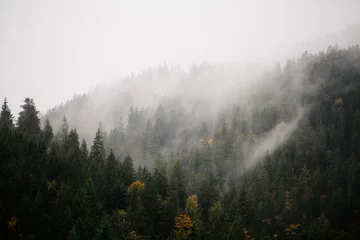 Selbstklebende Fototapeten Wald mit Nebel über den Bergen © 4Max