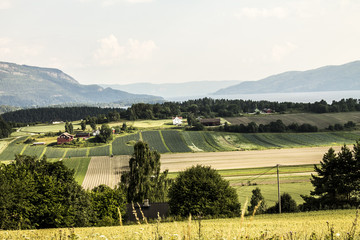 Norway landscape of fields and Fjords