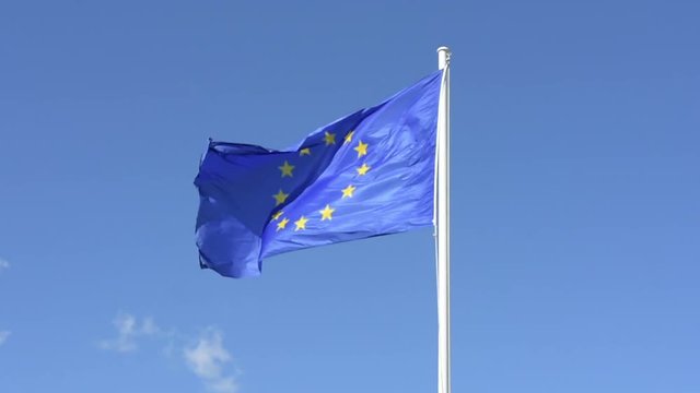 the european union flag