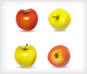 set realistic images an apple fruit in red and yellow color on l