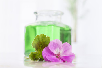 Obraz na płótnie Canvas Pink geranium flower with an aromatherapy essential oil glass bottle,
