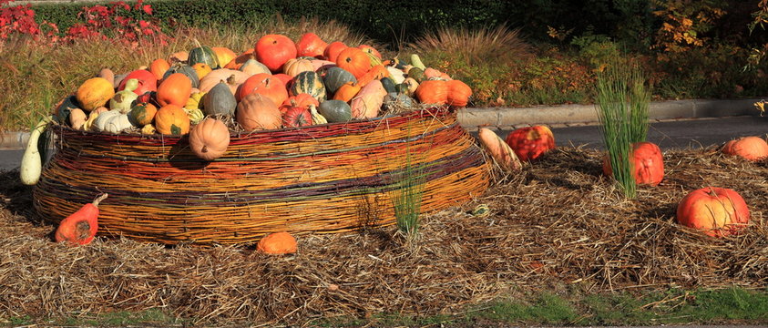 D&eacute;cor d'Halloween