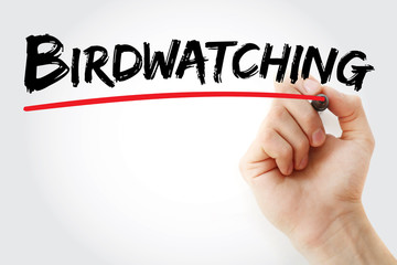Hand writing Birdwatching with marker, concept background